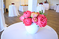 HEATHER CHRISTO BOOK LAUNCH